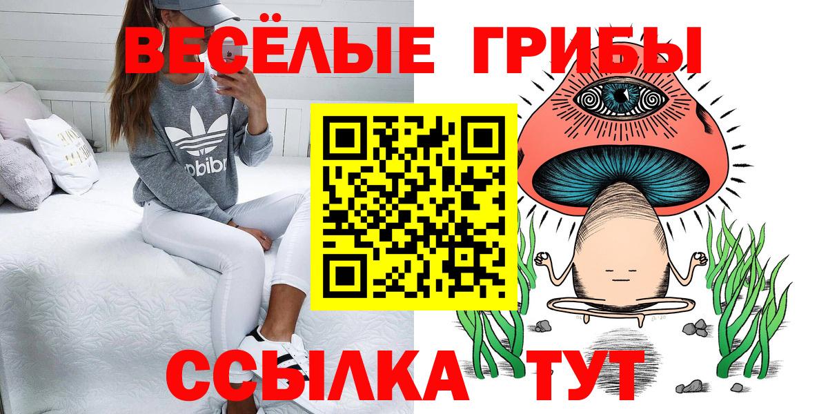 Галлюциногенные грибы GOLDEN TEACHER Янаул