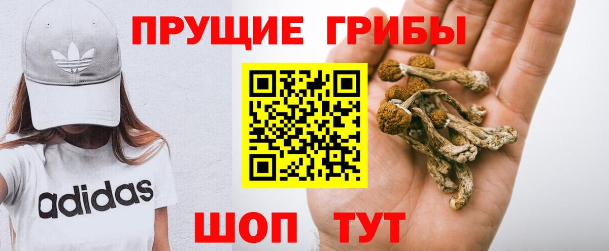 Галлюциногенные грибы ЛСД  Вход с VPN  как найти   Янаул 